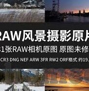 panini世界杯球星收藏卡哪里买-Panini世界杯球星收藏卡购买指南