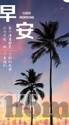 最新足球比分 亚冠-亚冠烽火重燃，最新比分速递，豪门对决背后的战术博弈与未来展望